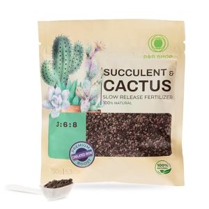 Engrais organique pour plantes succulentes et cactus