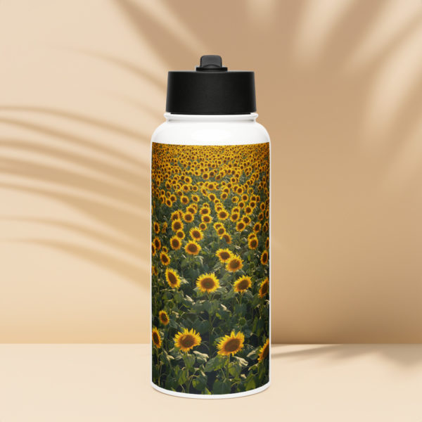 Bouteille d'eau en acier inoxydable avec paille (Sunflower – Image 4